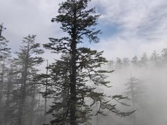 -瓦屋山景区
