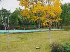 -牛岗山公园