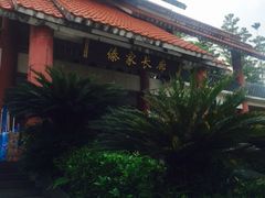 -大屏嶂森林公园