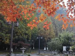 -幕燕滨江·长江观音景区