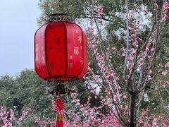 -无锡梅园公园