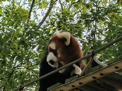 -上海野生动物园