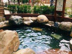 -溧阳天目湖天沐温泉