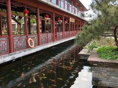 景观位-香山家宴