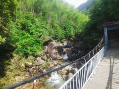 -黄山翡翠谷景区