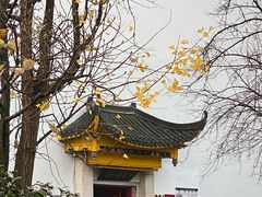 -泸州老窖景区