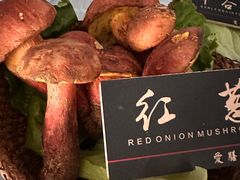 -爱膳菌锅锅(阳南店)