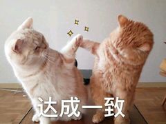 -H次元沉浸剧情密室(街道口店)