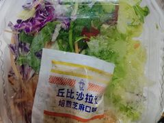 -达美乐比萨(国瑞北路店)