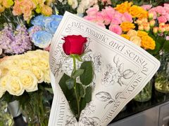 -FEI FEI FLOWER鲜花店·气球派对·宝宝宴布置(虹口德必运动Loft店)