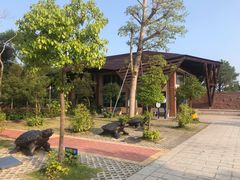 -广东惠东海龟国家级自然保护区
