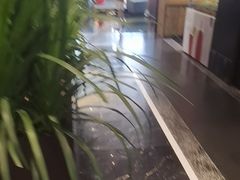 -眉州东坡(北苑华贸店)
