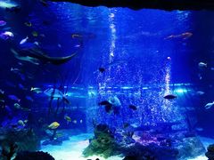 -沈阳海洋探索中心