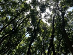 -同里国家湿地公园