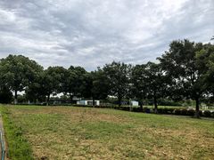 -西京湾花海