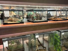 -帕帕拉兹宠物(亚洲旗舰店)