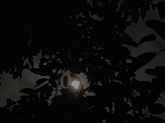 -星巴克(广州淘金路店)