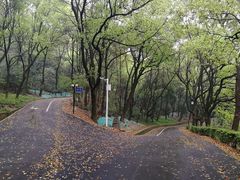 -石峰公园
