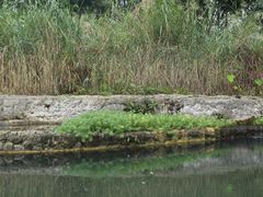 -成都市活水公园