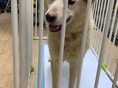 -美联众合动物医院·24h京西诊疗中心