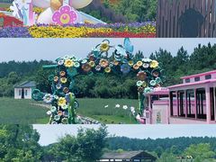 -武汉木兰草原风景区