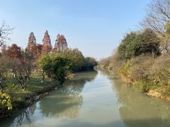 -西溪国家湿地公园