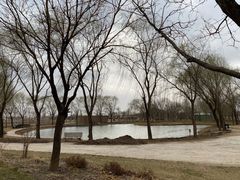 -安德鲁户外烧烤帐篷营地(马泉营店)