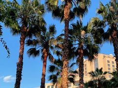 -翠湖宾馆·中餐厅