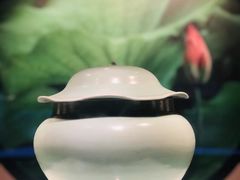 -四川宋瓷博物馆