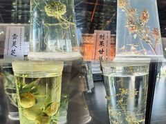 -广东中医药博物馆
