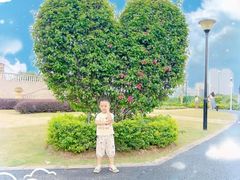 -东莞植物园