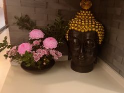 -至爱至信新中式SPA疗愈会所