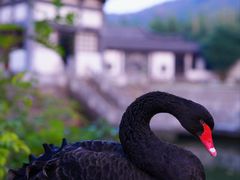 -南山风景名胜区