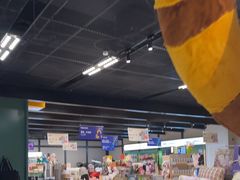 -帕帕拉兹宠物(亚洲旗舰店)