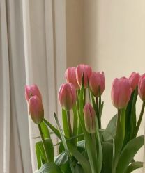 -安琪儿妇产医院·医养月子中心