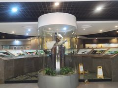 -下渚湖国家湿地公园科普馆