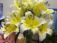 -双季花艺园艺市场(浦东店)