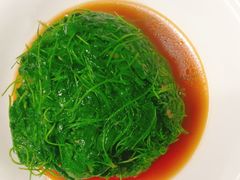-新聚丰菜馆(太监弄店)