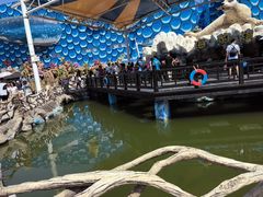 -华夏文旅海洋公园