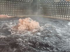 -春晖园度假酒店温泉