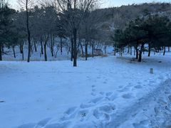 -北京西山国家森林公园