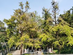 -南山风景名胜区