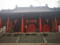 -灵谷景区