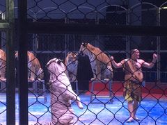 -西安秦岭野生动物园