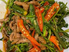 -付掌柜在成都·热炒砂锅集(金禾店)