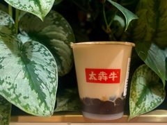 -太犇牛手作茶铺(江北虹悦城店)