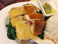 鸳鸯鸡饭-永盈茶餐厅(中山四路店)