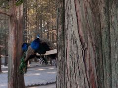 -南京金牛湖风景区