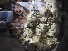 -湖南省地质博物馆