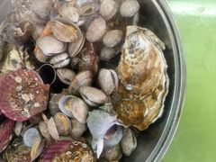 -沿海渔家院海鲜饺子·东北菜(止锚湾店)